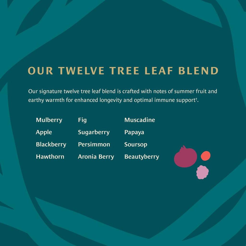 Healing Leaves, Longevity Blend Loose-Leaf Tea- 30 Servings | Biblically Inspired, 12 Fruit Tree Leaf Blend. Supports Digestion, Immune Function, Healthy Inflammation Response and Energy