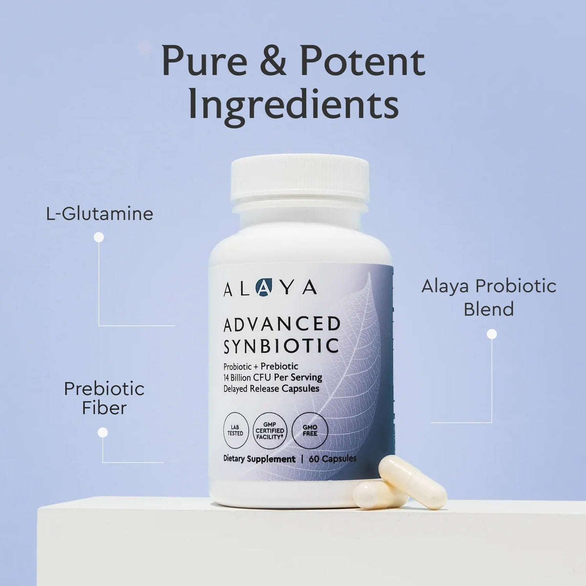 Alaya Naturals Advanced Synbiotic - Probiotic + Prebiotic - 14 Billion CFU Delayed Release Probiotic Supplement with Prebiotics from Sunfiber®, and L-glutamine for Gut Lining Integrity - 60 Capsules