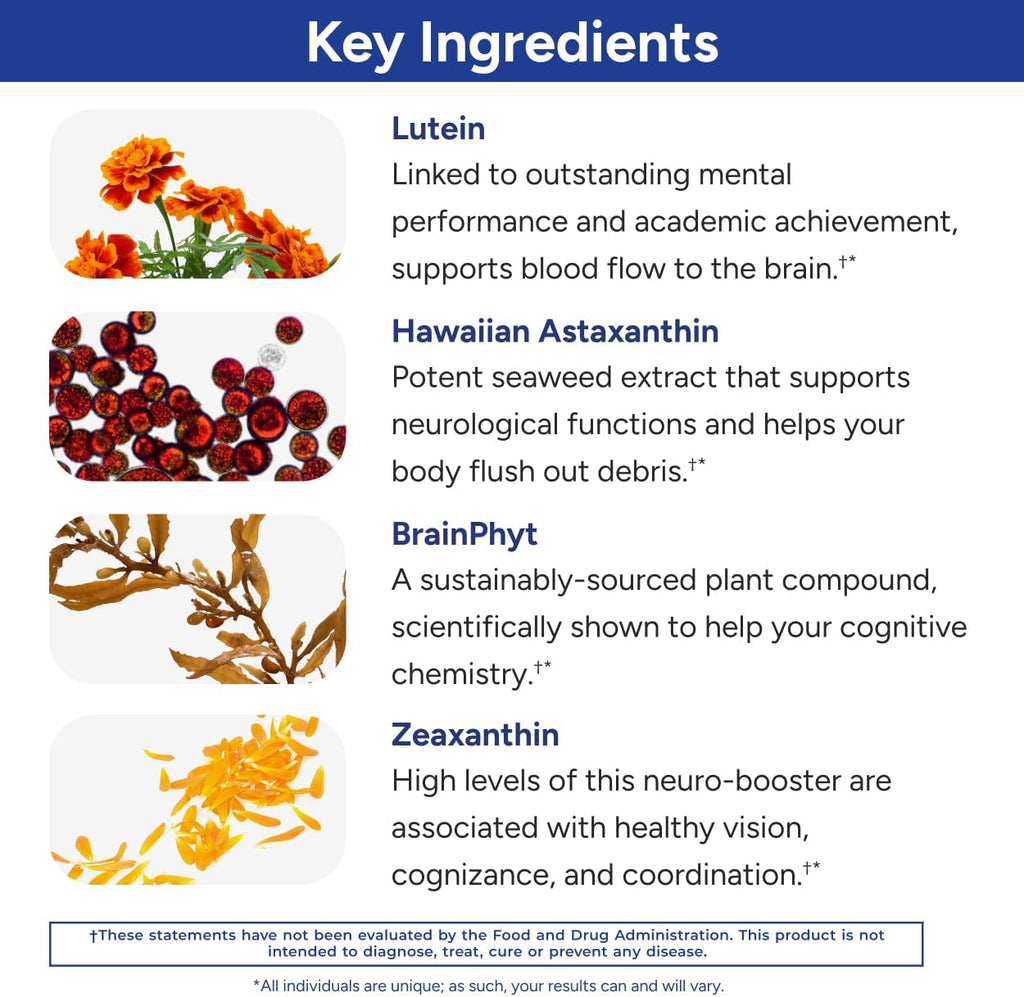 Gundry MD® Power Phenols Brain Health & Energy Supplement, 30 Servings | Cognitive Support, Focus & Productivity Enhancement, Energy Boost, Sugar & Artificial Sweetener Free, With Astaxanthin