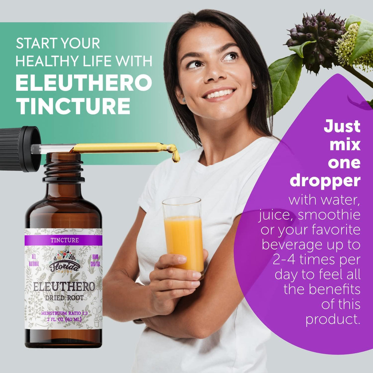 Eleuthero Tincture, Organic Eleuthero Extract (Siberian Ginseng, Eleutherococcus senticosus)