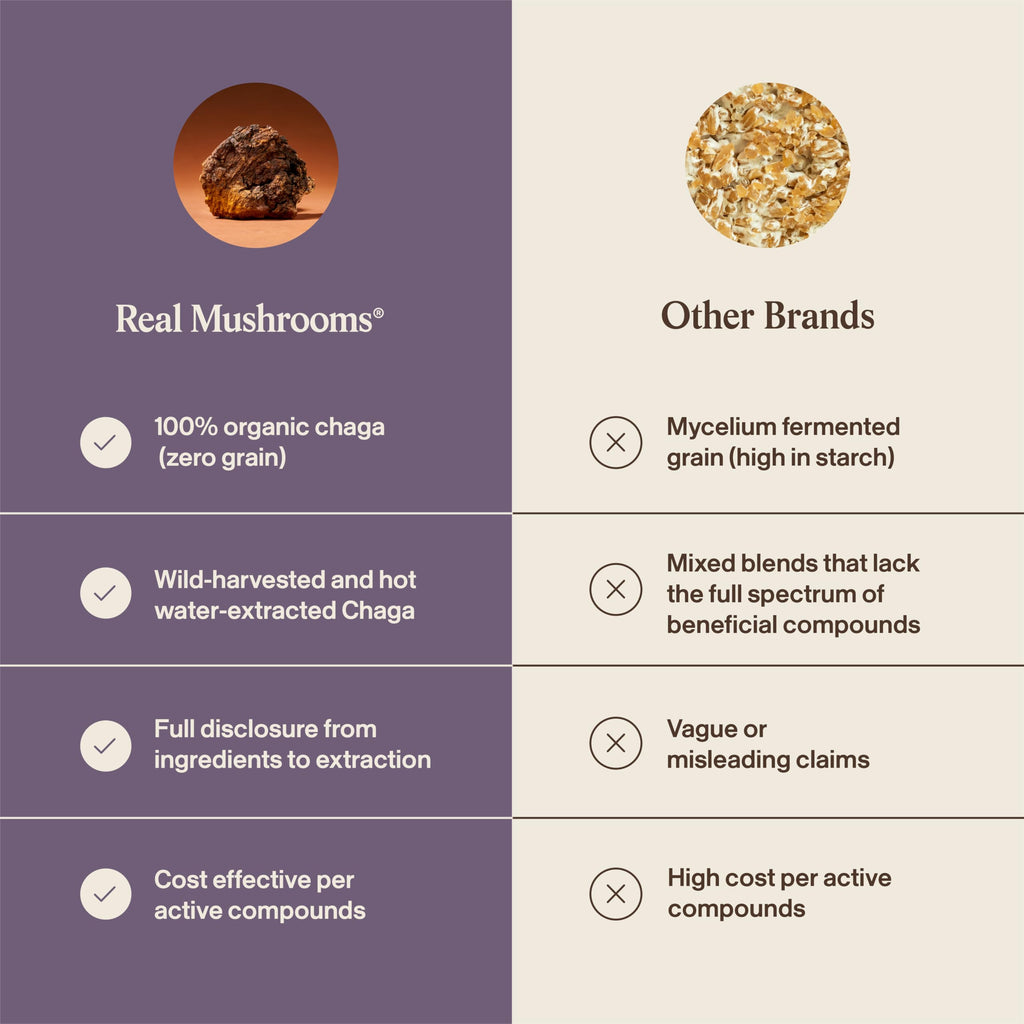 Real Mushrooms Chaga Mushroom Powder – Organic Chaga Extract from Fruiting Body – for Daily Wellness & Energy Support – Vegan, Non-GMO, 60 Servings Mushroom Supplement