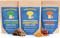 Malama All-Day Vitality Bundle – Lion’s Mane, Cordyceps & Reishi Mushroom Extract Powders – Organic Adaptogenic Superfood Trio for Focus, Energy & Relaxation – Vegan Supplements 3.5 oz (3-Pack)