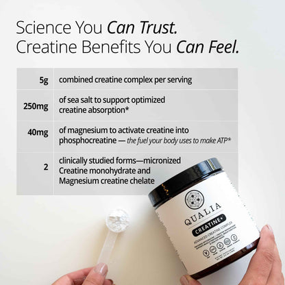 Qualia Creatine | Advanced Creatine Complex | 2 Sources + Magnesium | Optimized Absorption | Muscle Performance, Brain Function, & Healthy Aging (30 Servings)