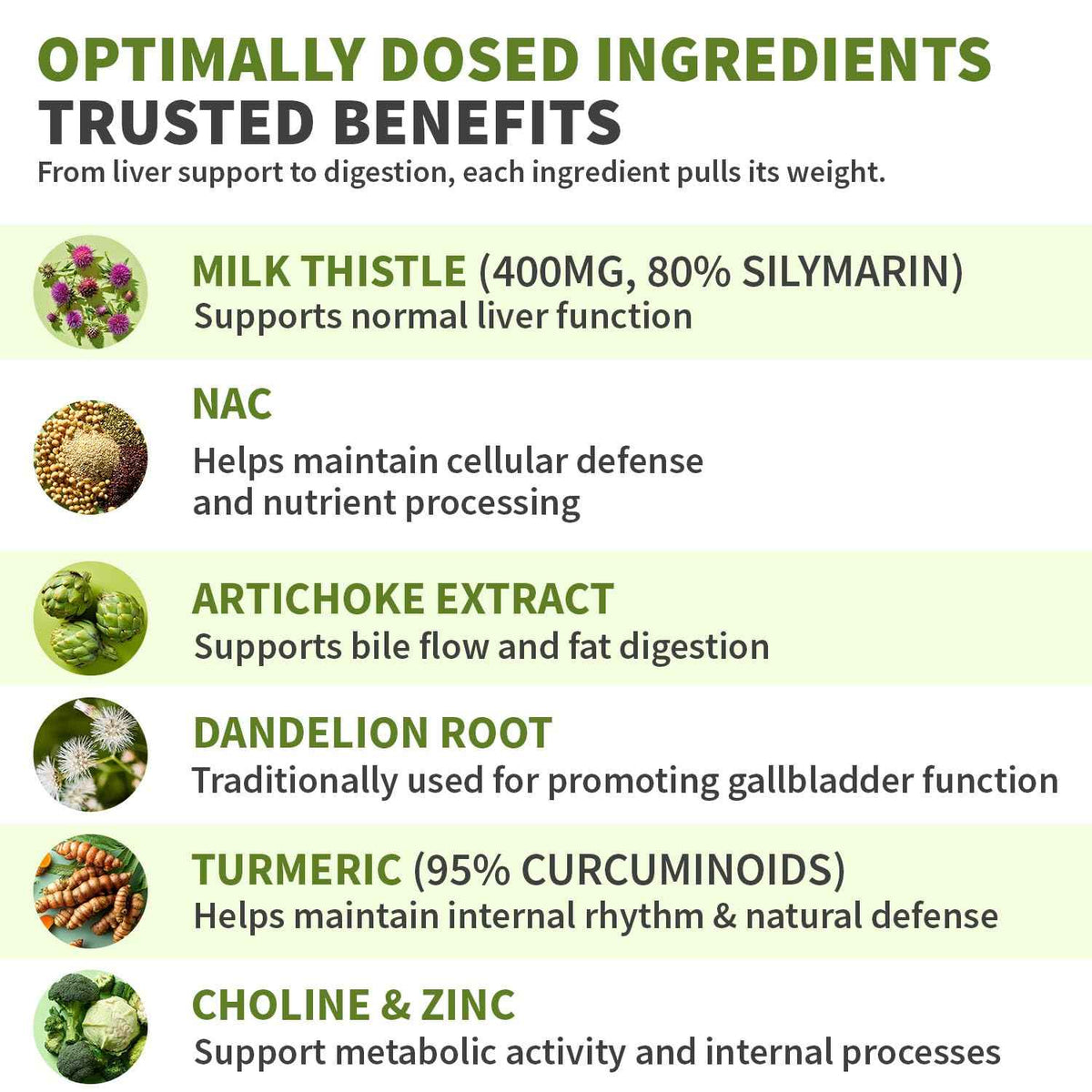 Milk Thistle Supplement w/ NAC, Artichoke & Dandelion – Liver Support Supplement & Gallbladder Supplements in One – Liver Detox – Milk Thistle