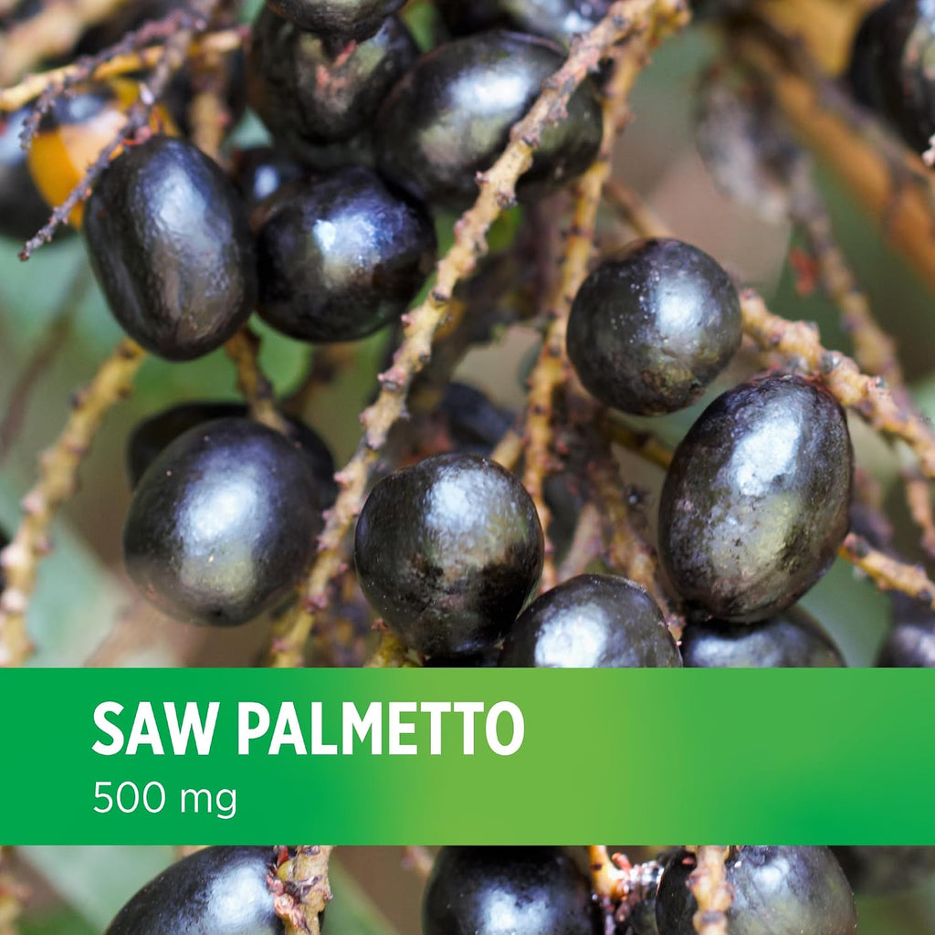 DOCTORS' PREFERRED Saw Palmetto for Men and Women Extract Supplement — 500 mg/Serving | 90 Capsules
