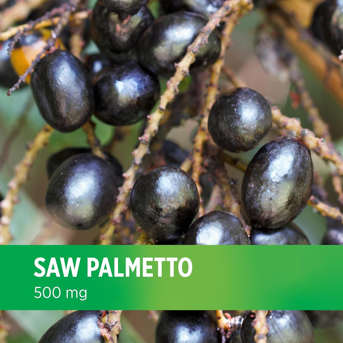 DOCTORS' PREFERRED Saw Palmetto for Men and Women Extract Supplement — 500 mg/Serving | 90 Capsules