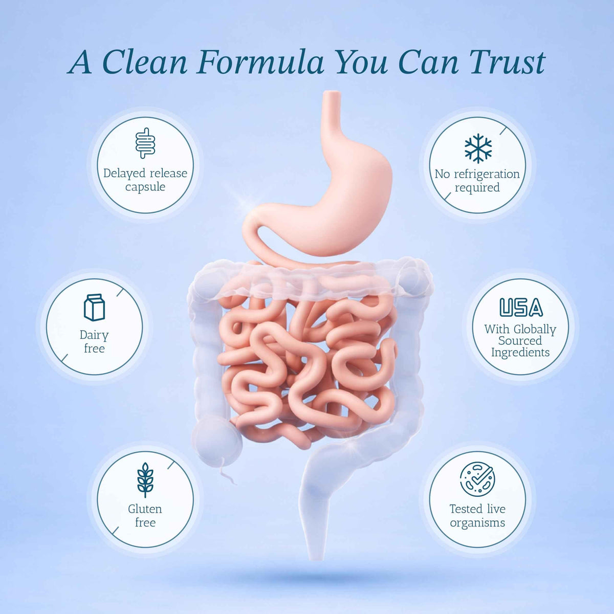 Vitamin Bounty Pro-50 - Probiotics for Women & Men - 50 Billion CFU - 13 Strains Probiotic + Prebiotic - Probiotics for Digestive Health - Delayed Release Capsules - 60 Count