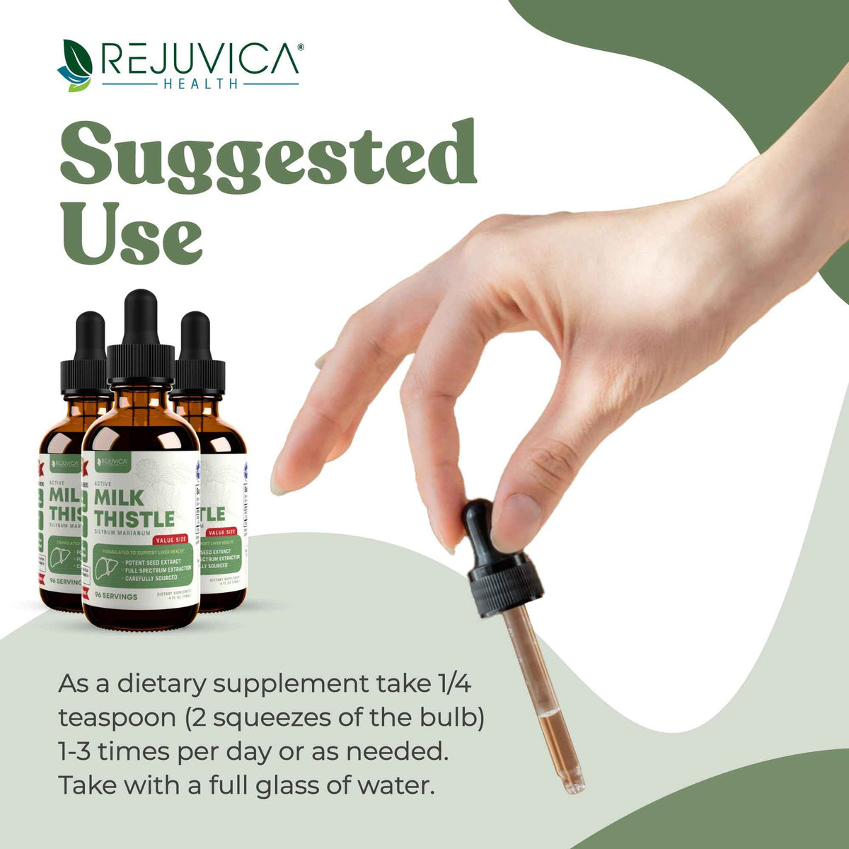 Rejuvica Health Active Milk Thistle 4oz XL Super Size - Advanced Milk Thistle Seed Liquid Extract Drops - May Support the Liver