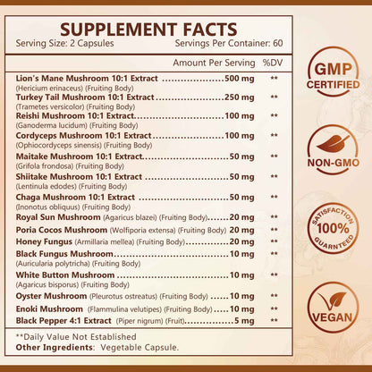 NATURE TARGET 14-in-1 Mushroom Supplement - Mushroom Complex with Lion's Mane, Cordyceps, Reishi & Turkey Tail - Caffeine-Free Energy, Memory & Immune Support - Vegan, 120 Capsules