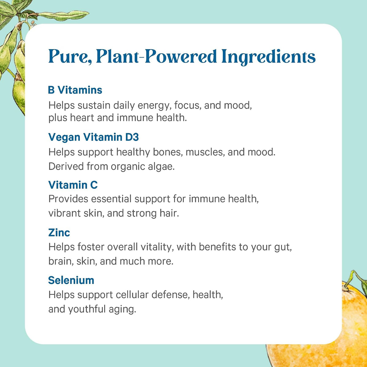 PURE SYNERGY Multi·Vita·Min | Vegan Multivitamin Made with Organic Whole Foods | Twice Daily Supplement for Men and Women | Core Nutrients for Energy, Mood, Immune, and Bone Health (60 Tablets)