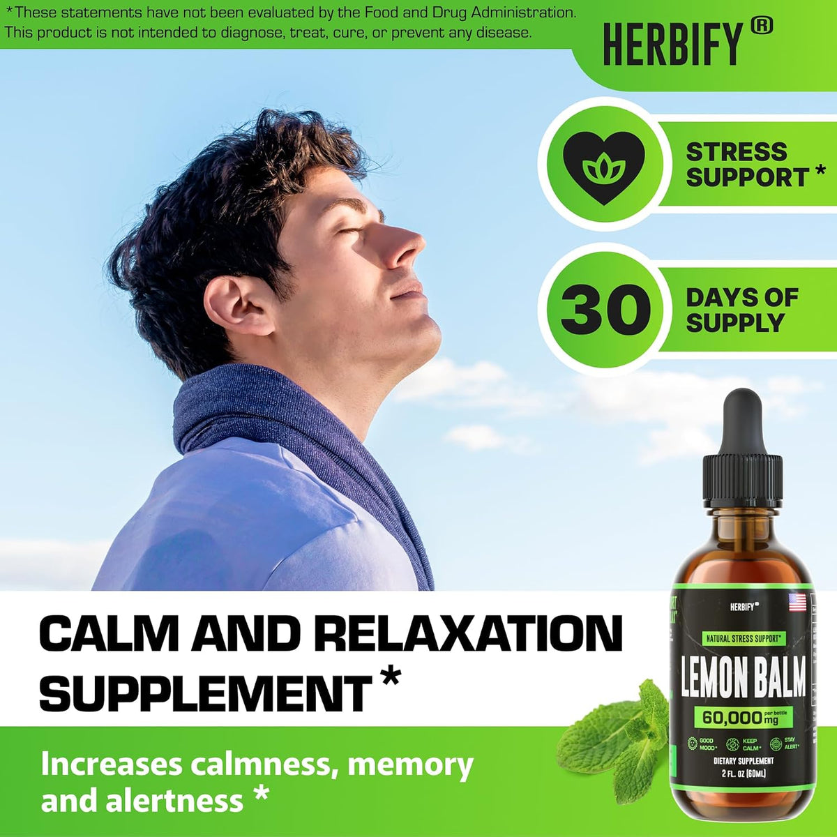 HERBIFY Bundle - Lions Mane Drops & Lemon Balm - Brain and Immune Support