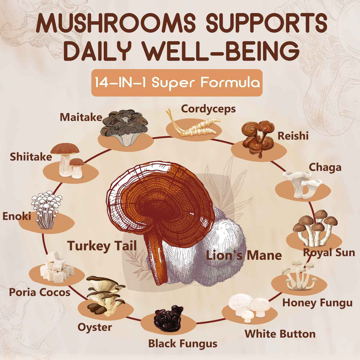 NATURE TARGET 14-in-1 Mushroom Supplement - Mushroom Complex with Lion's Mane, Cordyceps, Reishi & Turkey Tail - Caffeine-Free Energy, Memory & Immune Support - Vegan, 120 Capsules