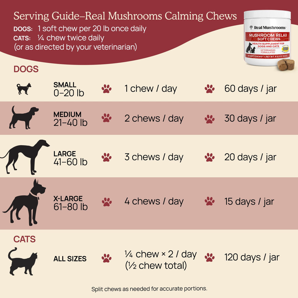 Real Mushroom Immune Pet Chews – For Daily Digestive & Immune Health – Mushrooms for Dogs & Cats Functional Treat – Mushroom Supplement for Dogs & Cats – 1 to 4 Chews For All Breeds & Sizes (60 Count)