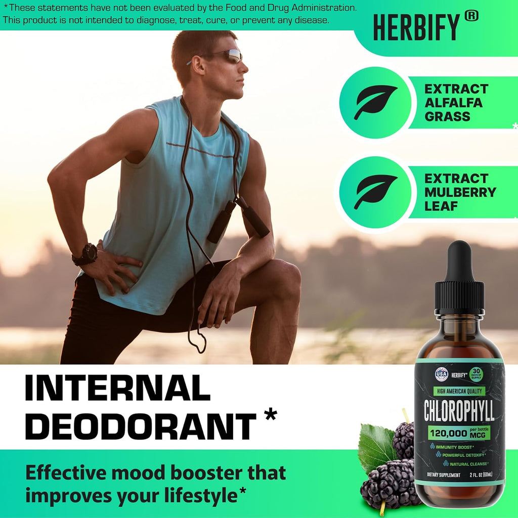 HERBIFY Bundle - Mullein Leaf Extract & Chlorophyll Drops - Lung Cleanse and Respiratory Support & Energy Boost and Immune System Support