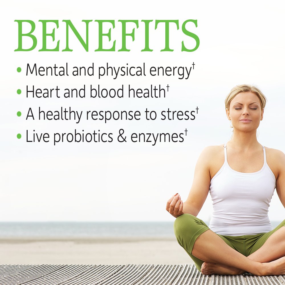 Garden of Life Vitamin B Complex, 120 Vegan Capsules, High Potency Vitamins for Energy & Metabolism with B6, Folate & B12 as Methylcobalamin plus Probiotics | High Potency Vitamins for Energy & Metabolism with B6, Folate & B12 as Methylcobalamin, plus Pro