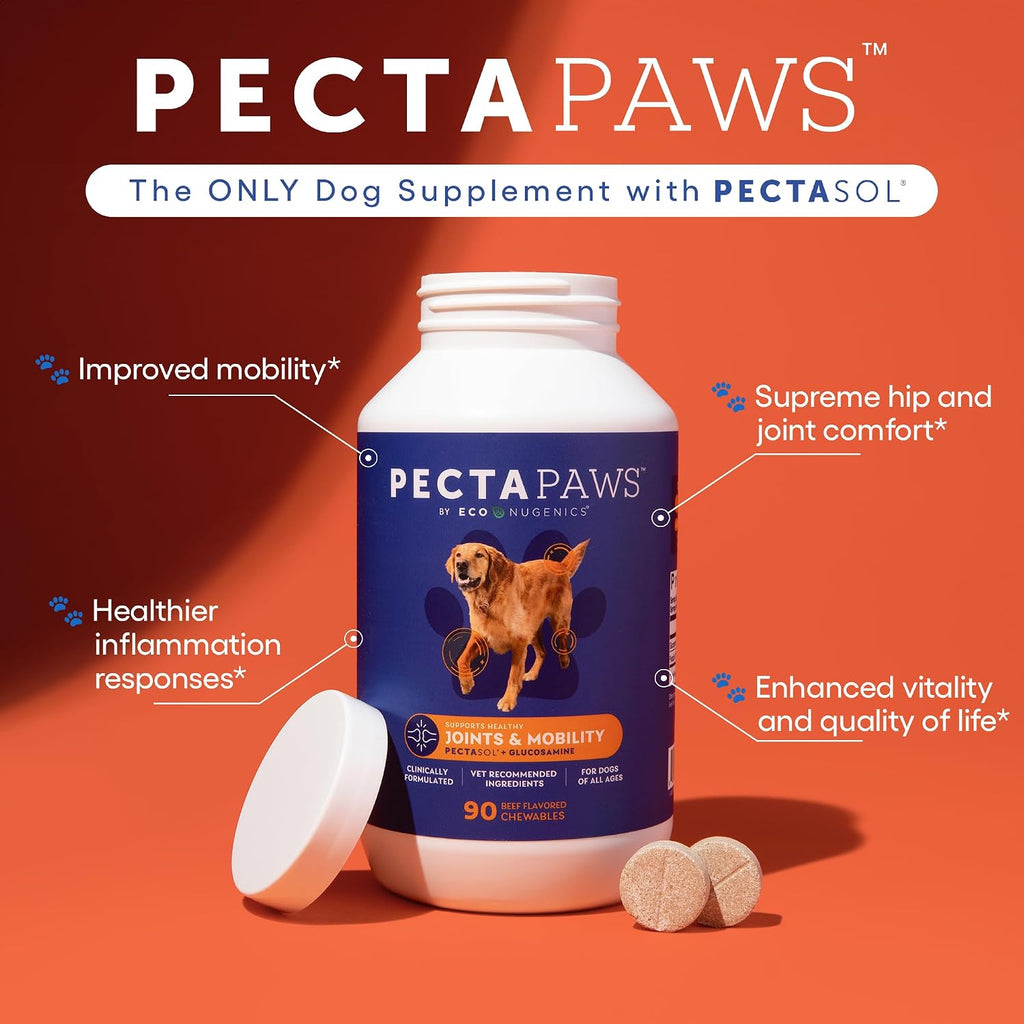 ecoNugenics PectaPaws Chewable Dog Supplements – Beef Flavor, 90 Count – PectaSol Modified Citrus Pectin + Glucosamine HCI for Dogs of All Ages, Supports Mobility, Joints, Immune Function, Pain Relief