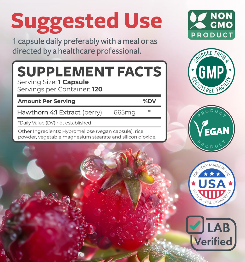 Super Potent Hawthorn Berry Extract Capsules - Hawthorn Berry Supplement Made from Extra Strength Concentrate to Support Heart and Digestive Health - Vegan Non-GMO & Gluten Free (4 Month Supply)