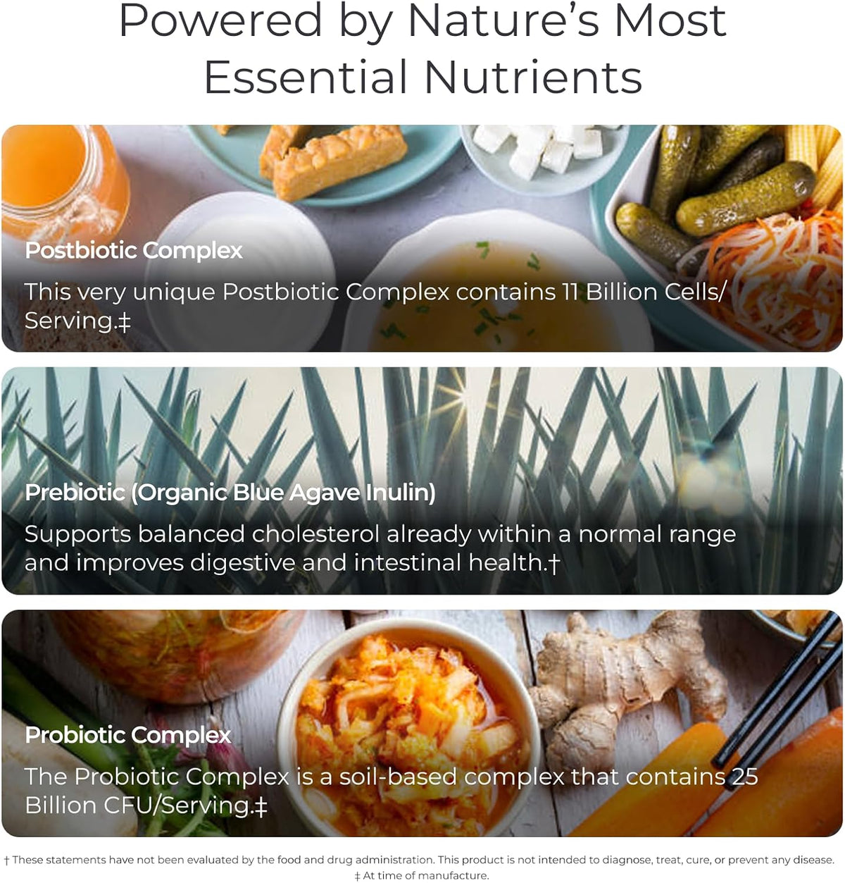 Livingood Daily Pre Pro Post Biotics Blend Powder, Digestive Health Supplement with Prebiotics from Organic Blue Agave Inulin, SBO Probiotics, Probiotics for Women & Men, Non GMO, Vegan, 30 Servings