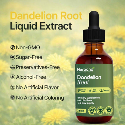 Dandelion Root 2 fl oz Liquid Extract - Natural Herbal Supplement for Cleansing, Digestive Function & Immunity - Organic Taraxacum officinale - Family Size