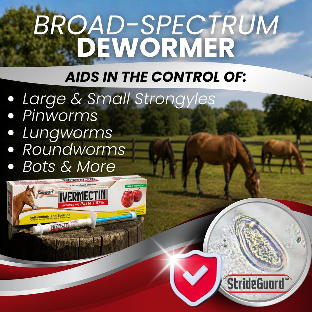 Horse Ivermectin Paste 1.87% – Apple Flavored Oral Horse Dewormer Syringe – 6.08g Tube Treats Horses Up to 1,250 lbs [Pack-1]