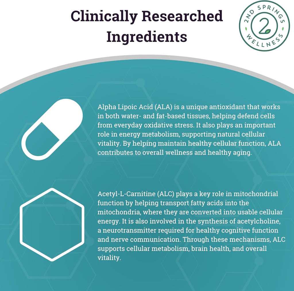 ALA & ALC Complex + Brain Support + Magnesium Bisglycinate Bundle | Energy, Focus, Memory, Cognitive Support, Nerve Health, Calm & Daily Wellness