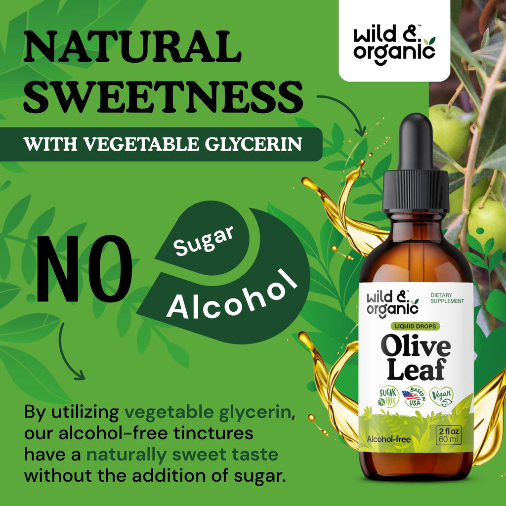 Wild & Organic Olive Leaf Extract Liquid Drops - Immune & Antioxidant Support - Oleuropein Supplement - Add to Tea Olive Leaf Tincture - Vegan, Sugar & Alcohol Free - 4 fl oz