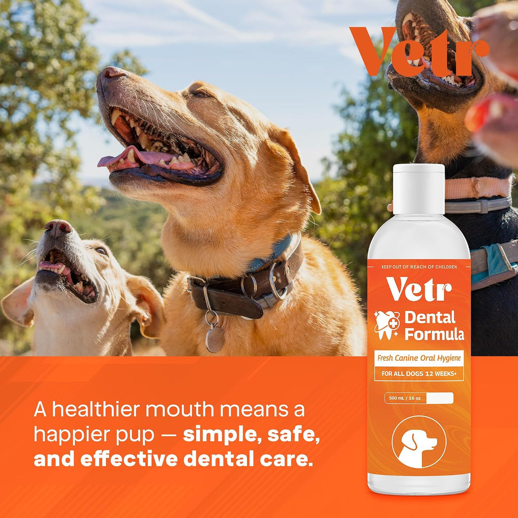 Vetr Dental Formula for Dogs - Peppermint Flavored Oral Care Liquid Additive with Enzymes for Breath and Teeth Support - Vet-Formulated in USA (16 oz)