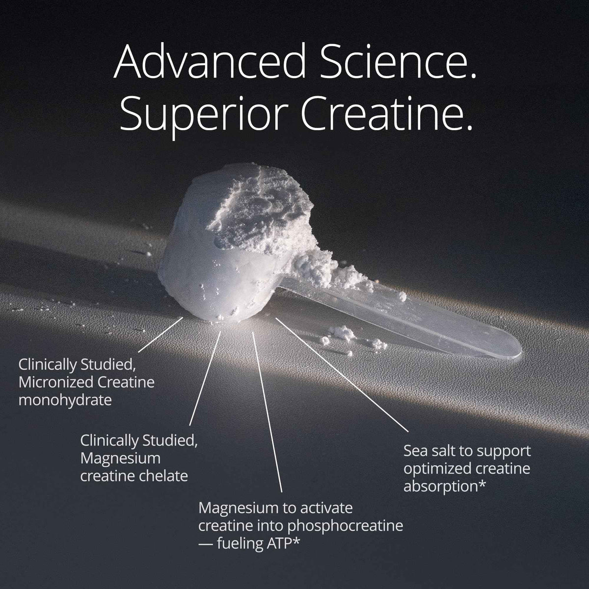 Qualia Creatine | Advanced Creatine Complex | 2 Sources + Magnesium | Optimized Absorption | Muscle Performance, Brain Function, & Healthy Aging (30 Servings)