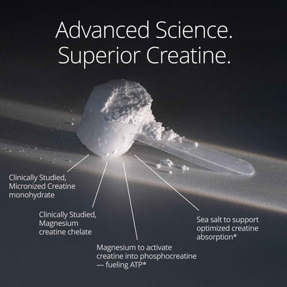 Qualia Creatine | Advanced Creatine Complex | 2 Sources + Magnesium | Optimized Absorption | Muscle Performance, Brain Function, & Healthy Aging (30 Servings)