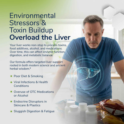 Milk Thistle Liver Detox Complex – Clinical-Grade Liver Support Supplement with Turmeric, Dandelion, Beet, Picrorhiza, Black Pepper – Phase I & II Detox