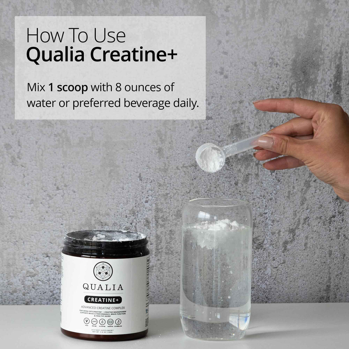 Qualia Creatine | Advanced Creatine Complex | 2 Sources + Magnesium | Optimized Absorption | Muscle Performance, Brain Function, & Healthy Aging (30 Servings)
