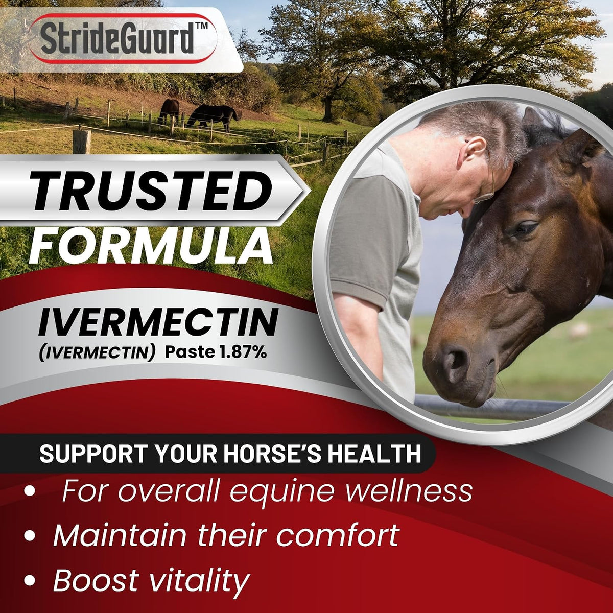 Horse Ivermectin Paste 1.87% – Apple Flavored Oral Horse Dewormer Syringe – 6.08g Tube Treats Horses Up to 1250 LB [Pack-12]