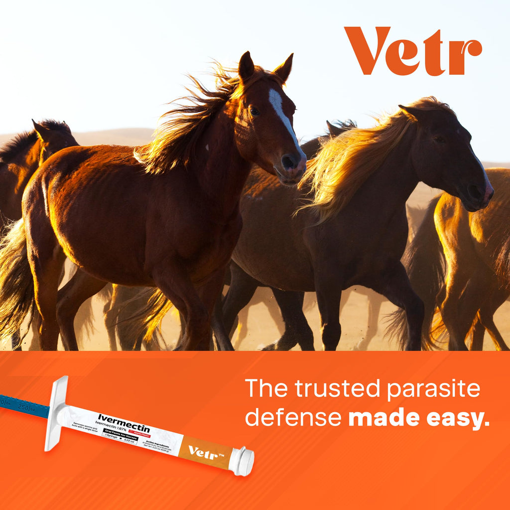 Ivermectin for Horses & Sheep 1.87% Concentration, 6cc, 7 Pack