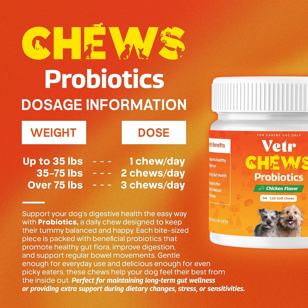 Vetr Probiotic Chews for Dogs - Chicken Flavored - Probiotics for Digestive Health - 120 Soft Chews - Vet-Formulated in USA
