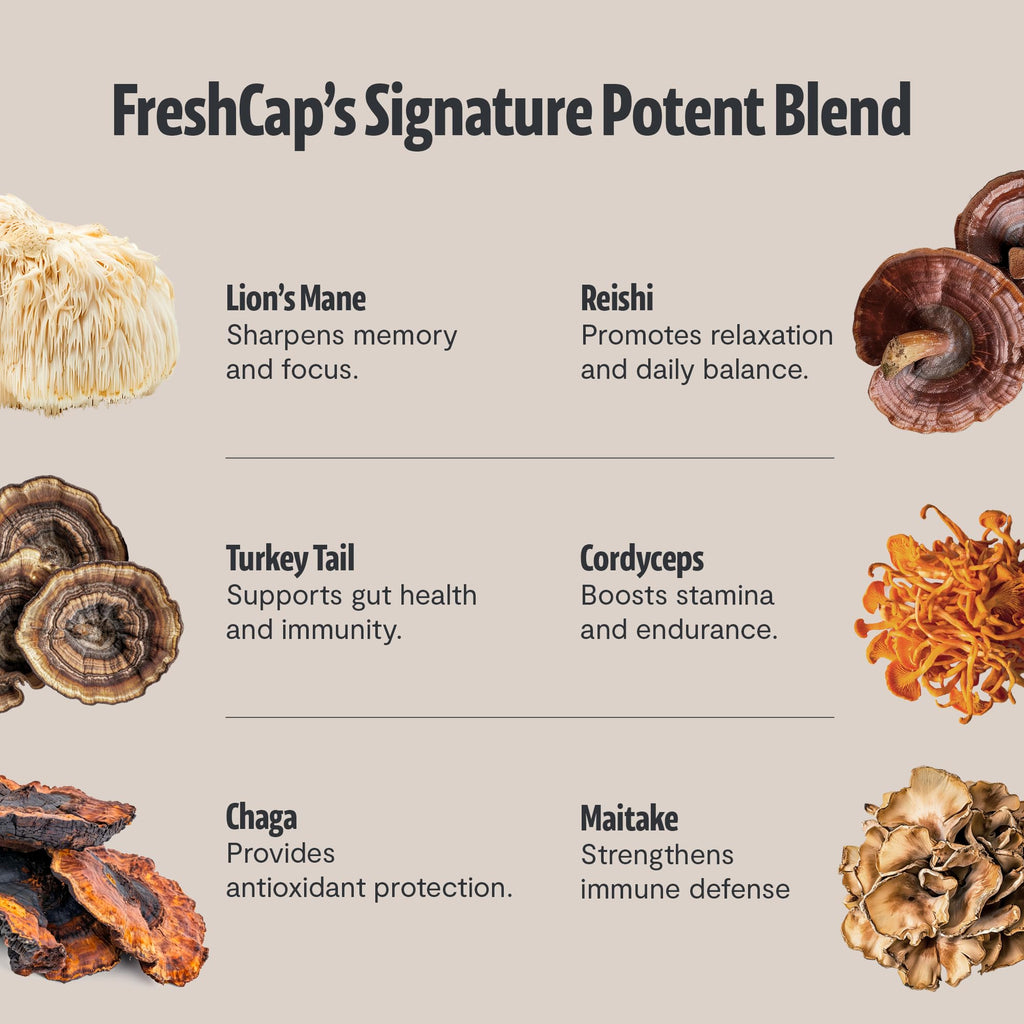 Premium Organic Mushroom Coffee – 12:1 Fruiting Body Extract – 29% Beta-Glucans – Smooth Tasting, 3rd-Party Tested for Clean Energy, No Jitters, Focus, Immune Support (15 Servings)
