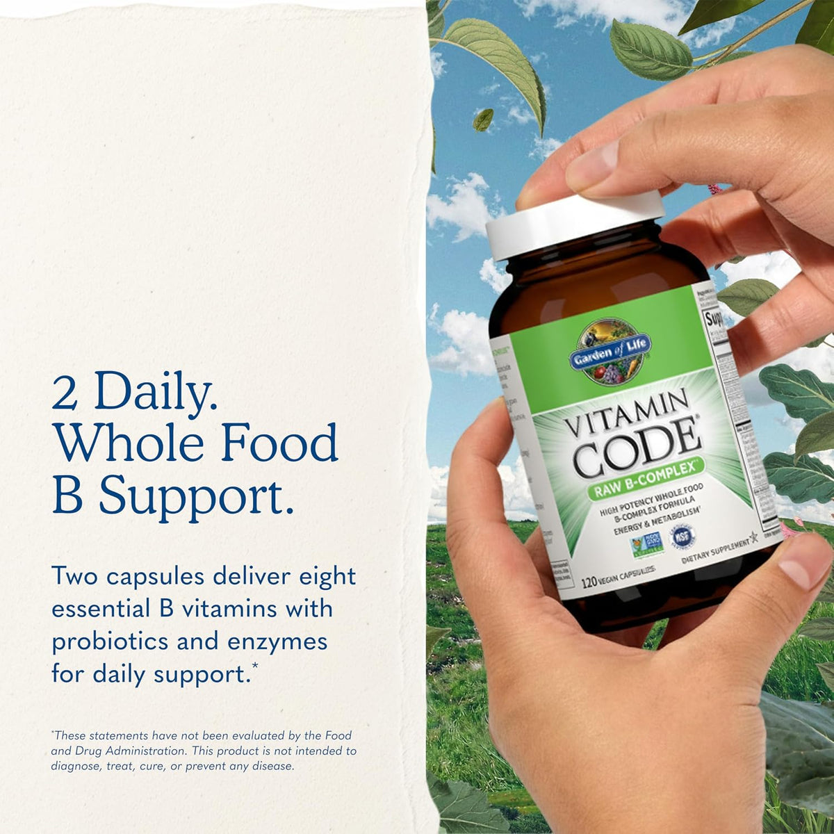 Garden of Life Vitamin B Complex, 120 Vegan Capsules, High Potency Vitamins for Energy & Metabolism with B6, Folate & B12 as Methylcobalamin plus Probiotics | High Potency Vitamins for Energy & Metabolism with B6, Folate & B12 as Methylcobalamin, plus Pro