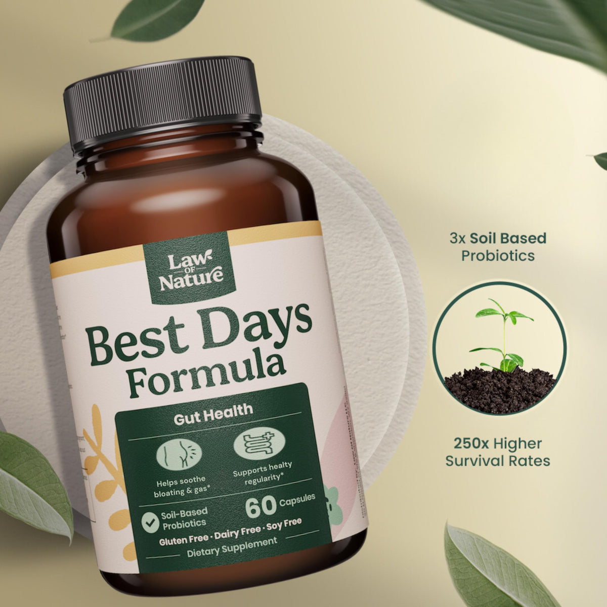 Best Days Formula | Advanced 5-in-1 Gut Support for Bloating, Gas & Irregularity | Soil-Based Probiotics + Prebiotics, L-Glutamine, Aloe Vera & More | 60 Capsules