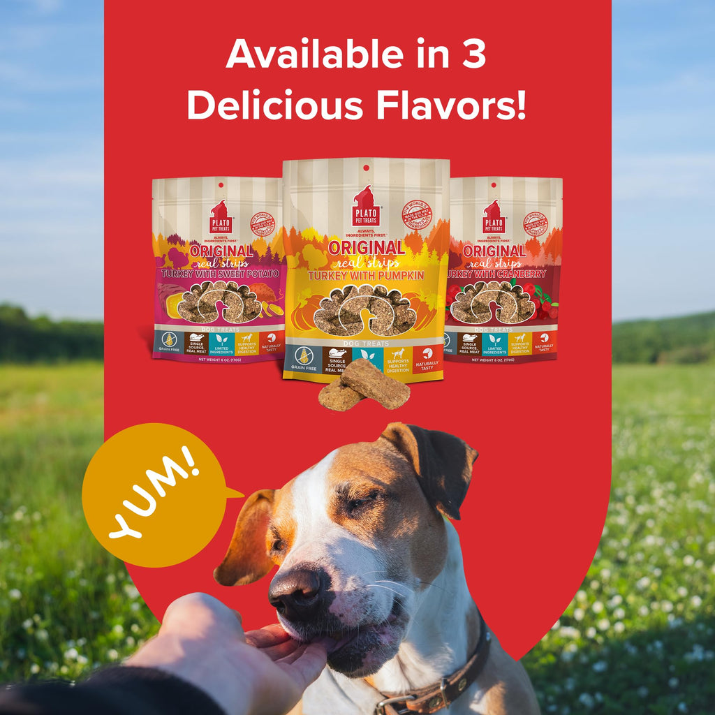 Plato Pet Treats Real Strips - Air-Dried Meat Bars for Dogs - Delicious, Limited Ingredient Dog Treats - Grain Free - Original Real Strips Turkey & Pumpkin 18oz - 2 Pack