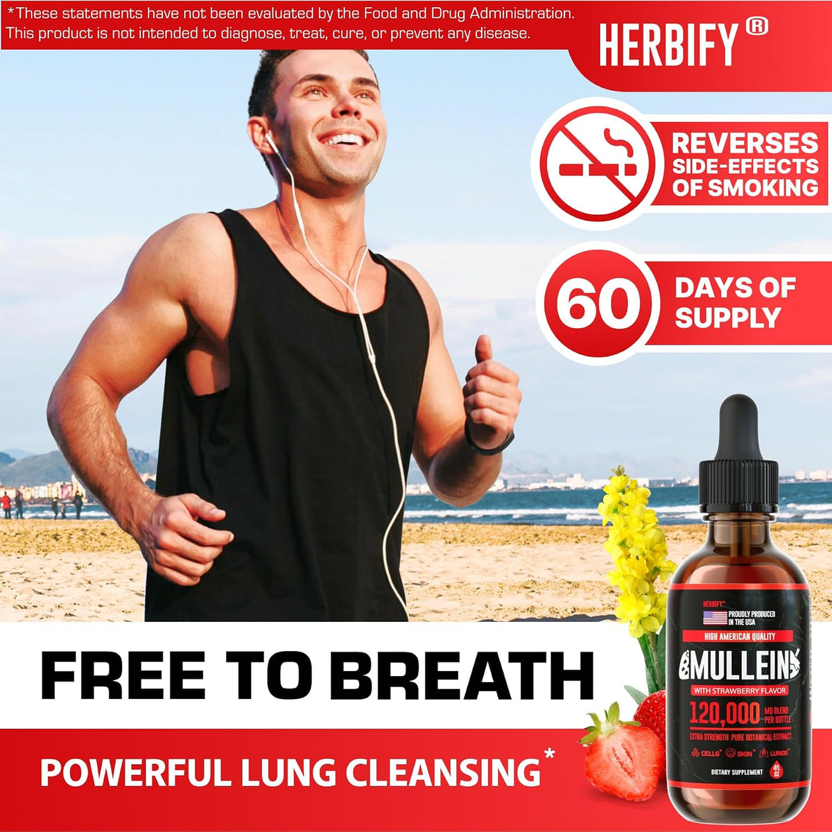 HERBIFY Bundle - Lions Mane & Mullein 4 Fl Oz Strawberry Drops - Supplement for Memory, Focus & Clarity & Immune Support, Lung Cleanse and Bronchial Support