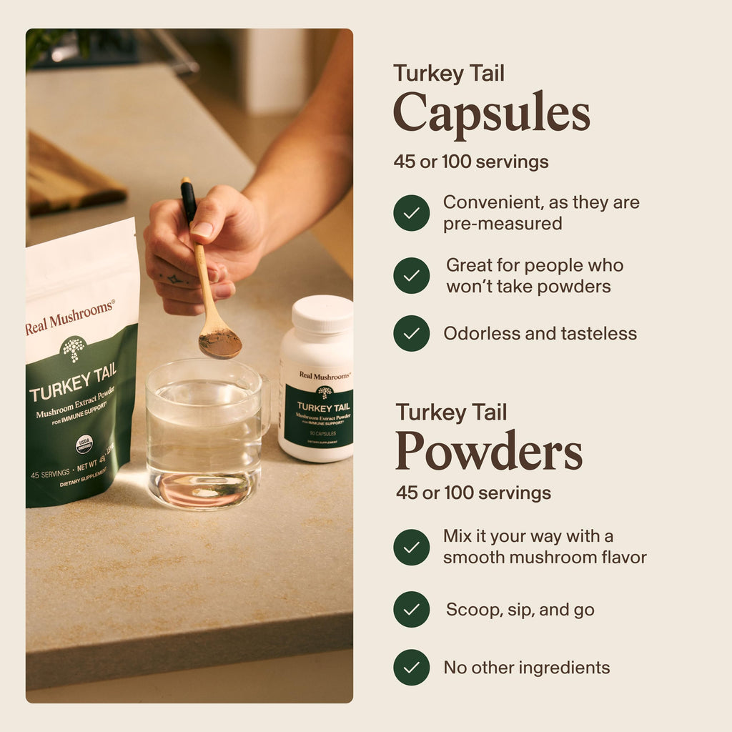 Real Mushrooms Turkey Tail Capsules – Organic Mushroom Extract for Wellness & Daily Rhythm – Vegan, Non-GMO, No Fillers Turkey Tail Extract – 90 Count Mushroom Supplement