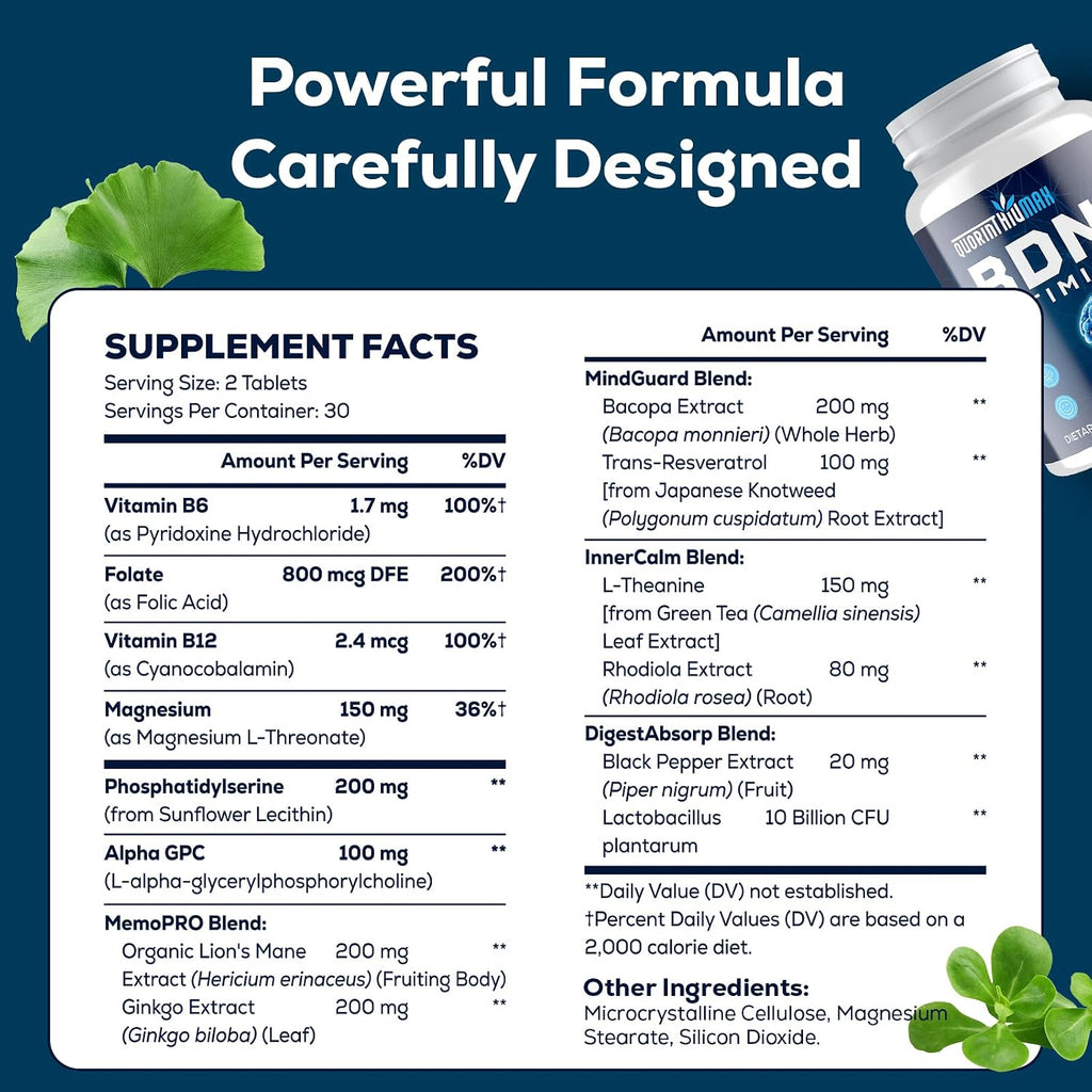 Nootropic Brain Supplement for Memory and Focus – BDNF Optimizer – Cognitive, Mental Clarity & Mood – High Absorption – Organic Lion's Mane, L-Theanine, Ginkgo Biloba & Alpha GPC – 60 Tablets