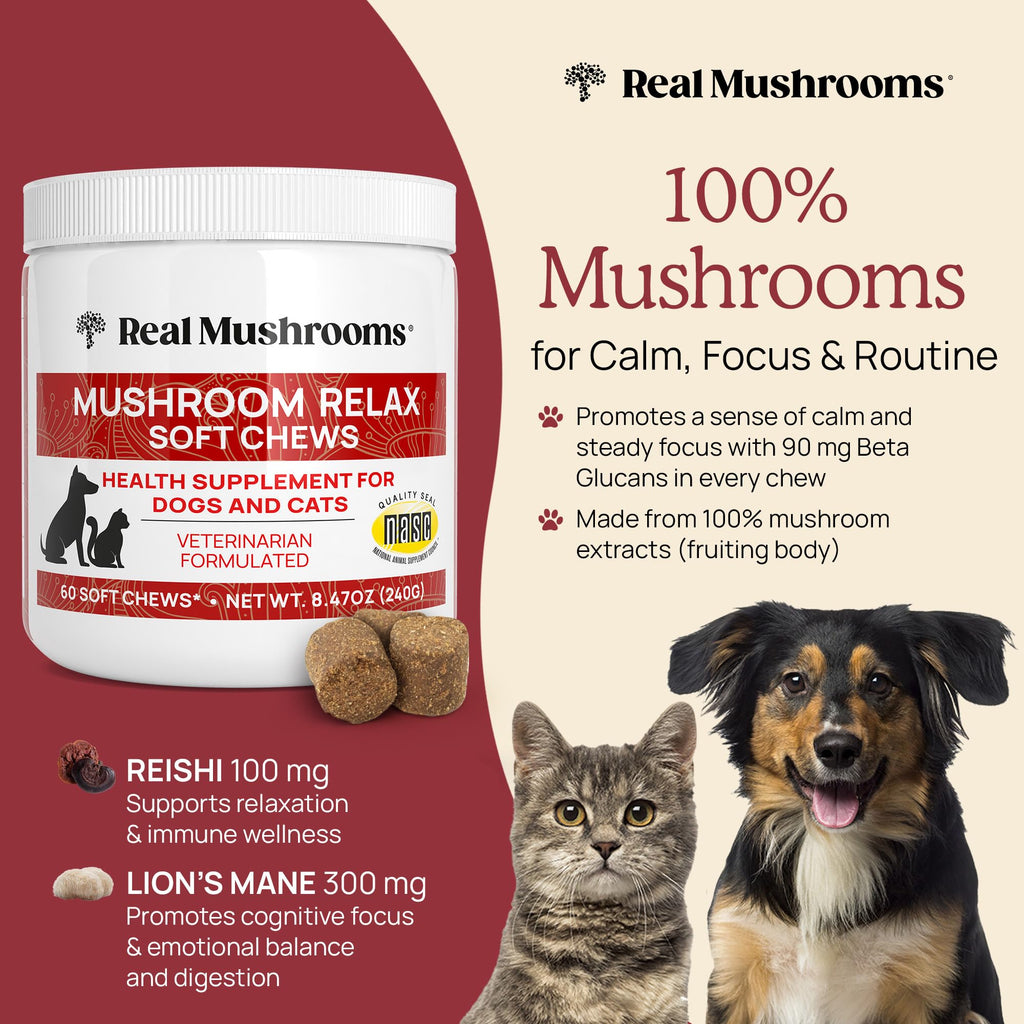 Real Mushroom Immune Pet Chews – For Daily Digestive & Immune Health – Mushrooms for Dogs & Cats Functional Treat – Mushroom Supplement for Dogs & Cats – 1 to 4 Chews For All Breeds & Sizes (60 Count)