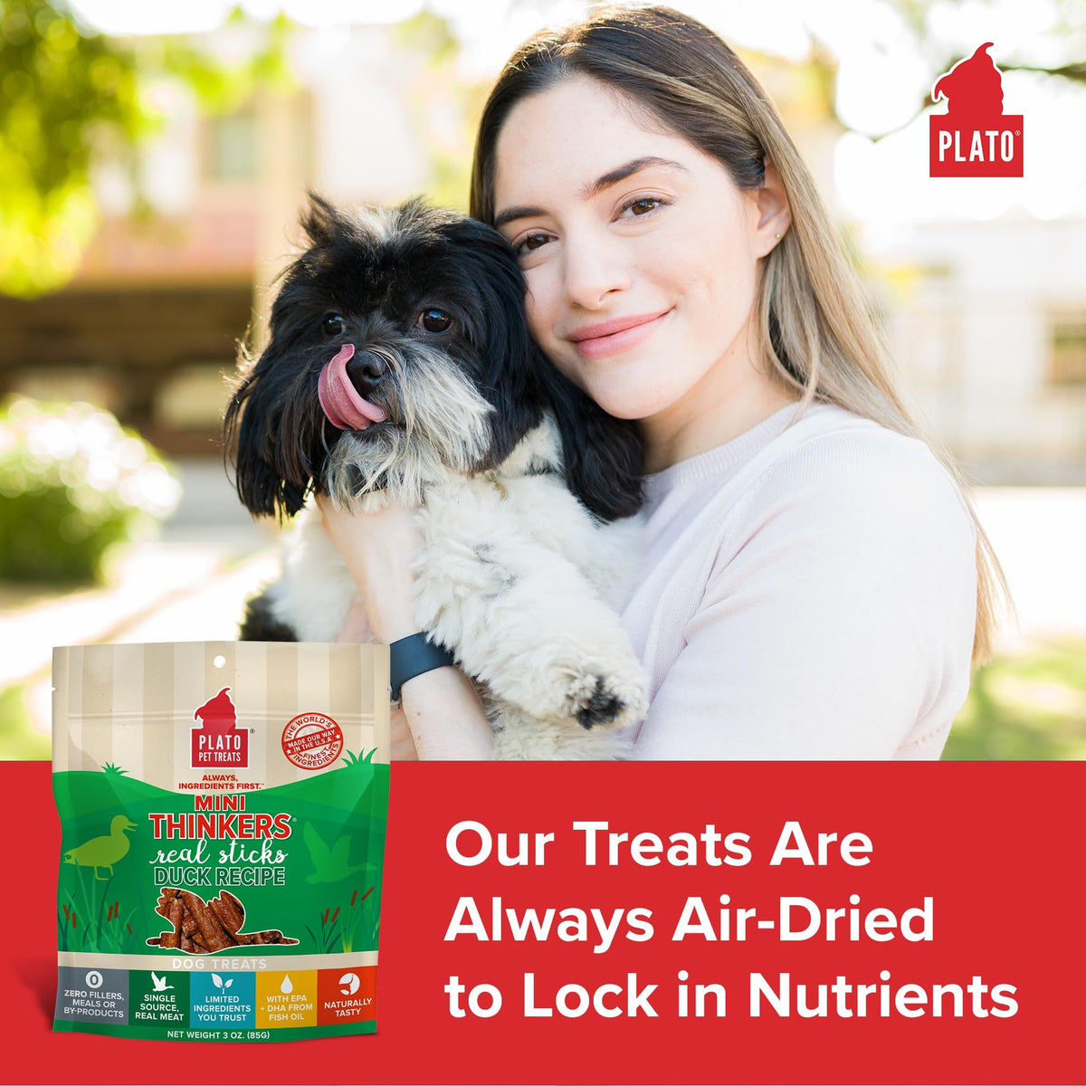 Plato Meat Sticks Salmon Dog Treats, Air-Dried High-Protein Soft Chews with Omega Fish Oil (EPA & DHA), 10 oz