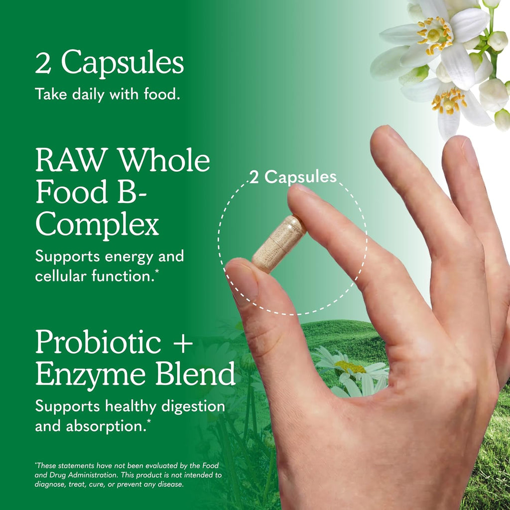 Garden of Life Vitamin B Complex, 120 Vegan Capsules, High Potency Vitamins for Energy & Metabolism with B6, Folate & B12 as Methylcobalamin plus Probiotics | High Potency Vitamins for Energy & Metabolism with B6, Folate & B12 as Methylcobalamin, plus Pro