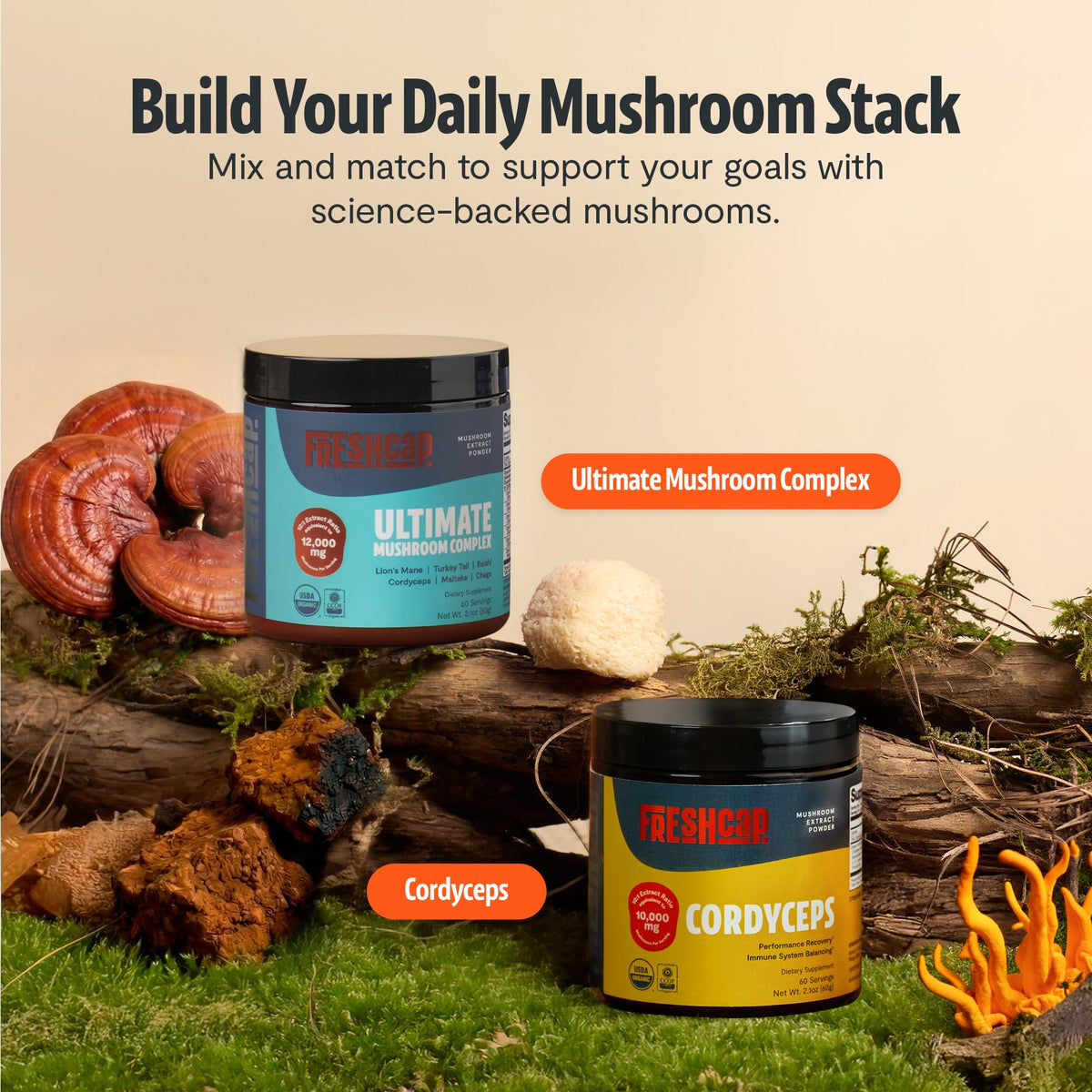Premium Organic Mushroom Coffee – 12:1 Fruiting Body Extract – 29% Beta-Glucans – Smooth Tasting, 3rd-Party Tested for Clean Energy, No Jitters, Focus, Immune Support (15 Servings)