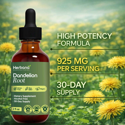 Dandelion Root 2 fl oz Liquid Extract - Natural Herbal Supplement for Cleansing, Digestive Function & Immunity - Organic Taraxacum officinale - Family Size