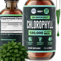 HERBIFY Chlorophyll Drops - Liquid Chlorophyll for Energy Boost & Immune System Support - Made in USA - Chlorophyll Liquid Drops for Body Detox, Internal Deodorant & Enhance Skin - 2 Oz