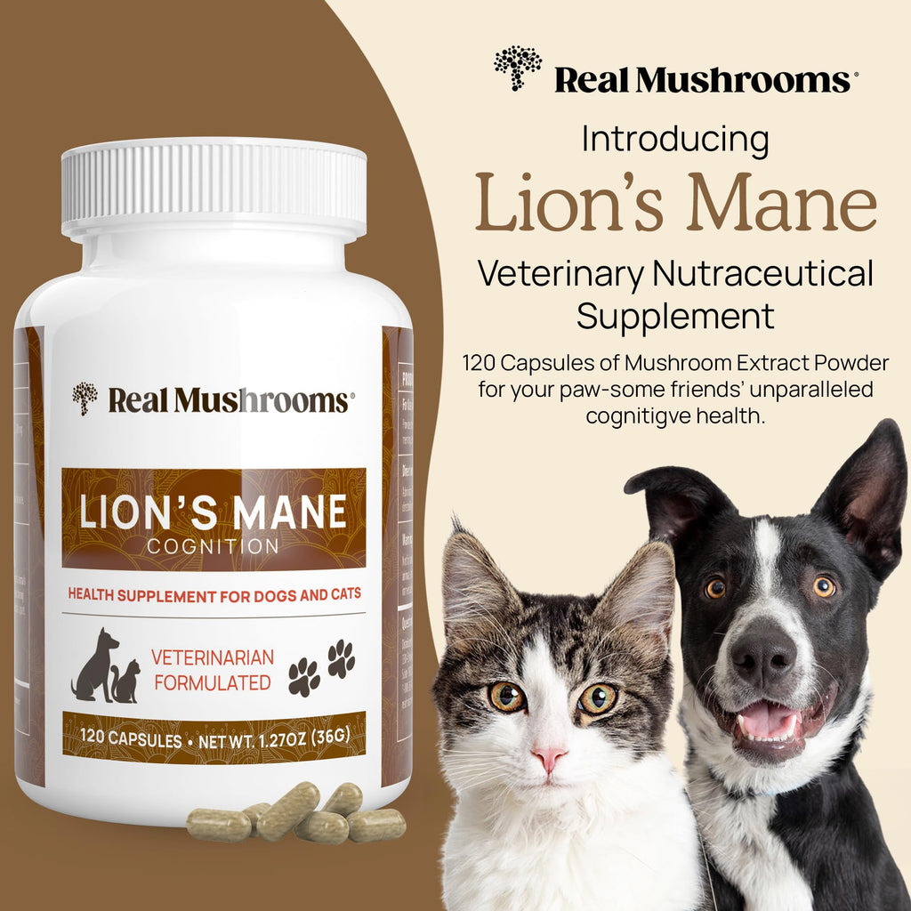Real Mushrooms Lion’s Mane Pet Mushroom Supplement – Pet Wellbeing Capsules – for Cat & Dog Supplement & Vitamins – Support Mindful Routines – Organic, Vegan, Non-GMO, 120 Count