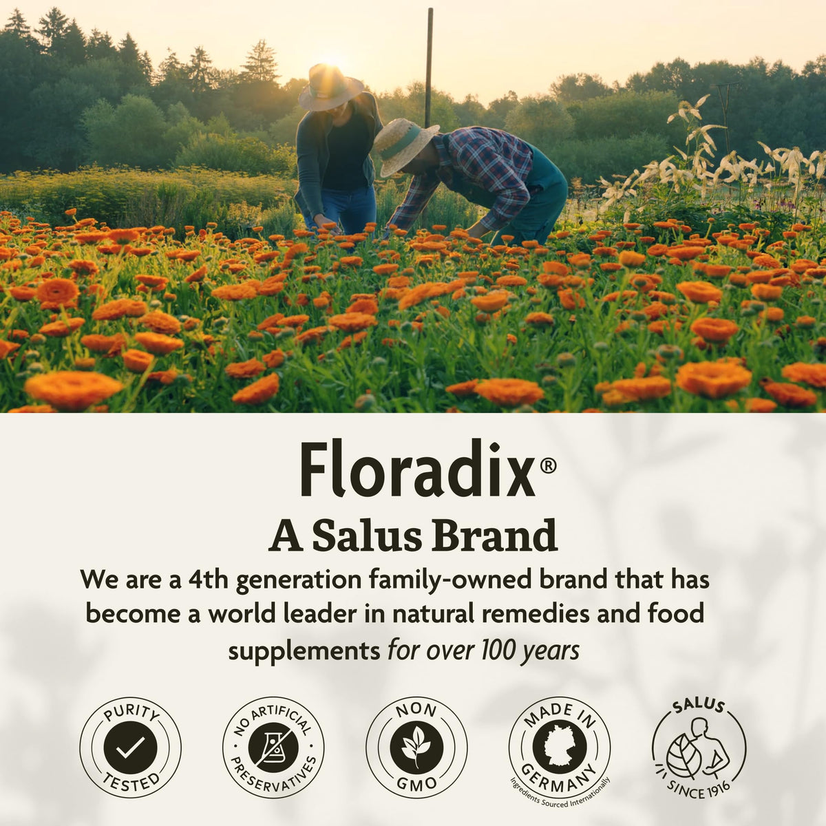 Floradix Iron & Herbs, Herbal Supplement for Men and Women, 8.5 fl oz | Liquid Iron Supplement with Vitamin C, Vitamin B Complex & Ferrous Gluconate Iron for Energy Support & Red Blood Cells*