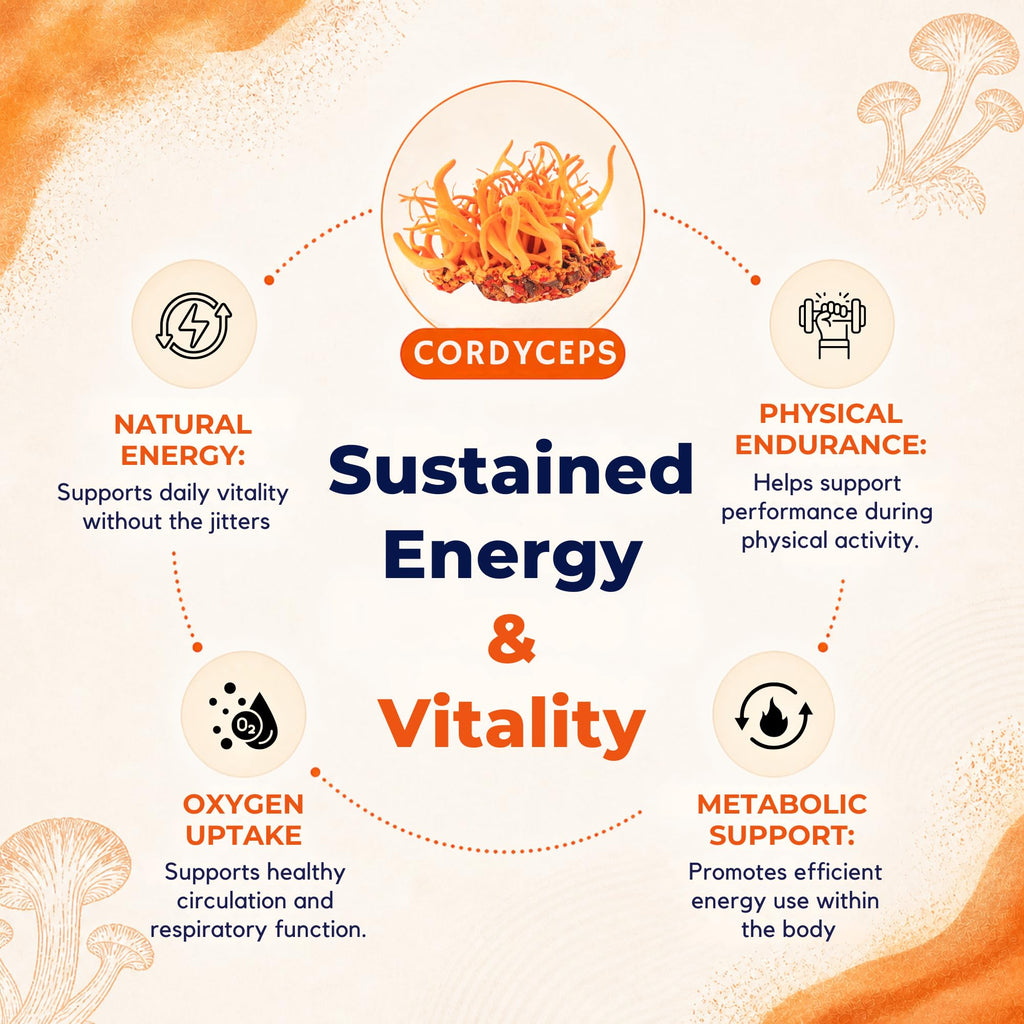 8-Mushroom Extract Powder by Malama, Organic Body Mushroom Blend Featuring Lion's Mane, Reishi, Cordyceps, Chaga, Turkey Tail, Superfood Adaptogenic